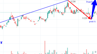 Future BAT price prediction based on publishers behaviour
