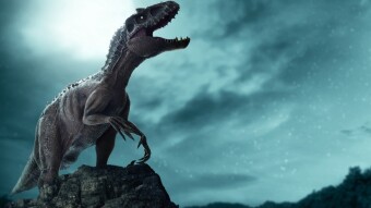 Why Bitcoin Reigns Supreme: Debunking Charlie Munger's Anti-Crypto Arguments