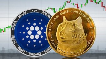 Cardano vs Dogecoin: Who's the best?