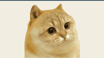 📰News 🐱 CATGE COIN 🐱