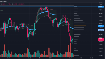 Bitcoin about to change course? Alts will continue to pump? Here I explain how I'll profit either way.