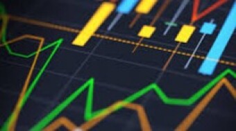 Investment Opportunity And Community