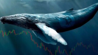 Bitcoin Continues To Be The Preferred Of The 'crypto Whales' With More Than 400 Thousand Btc Transferred In June