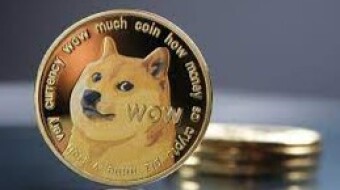 Doge as a joke?