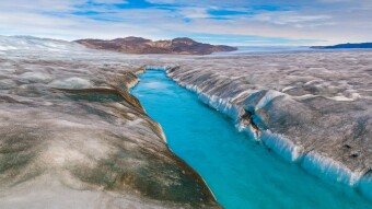 Dark Snow: When Greenland's Ice Sheet Turns Black