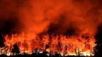 According to scientists, Australian fires show the future face of the world