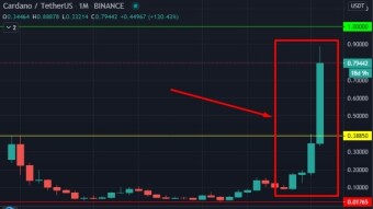 Bitcoin y Cardano, tus caballos de acero más rápidos hoy (x1000 !!!).-
