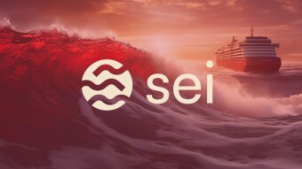 Don't Miss this Opportunity ! ( Sei airdrop )