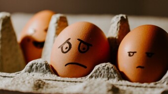The Move Part 19: Things I WORRY ABOUT in Australia