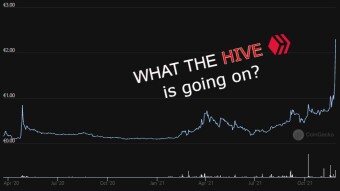 What the $HIVE is going on?!?