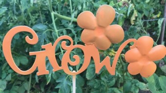 What I Really Like Is Gardening