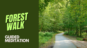 Forest walk guided meditation