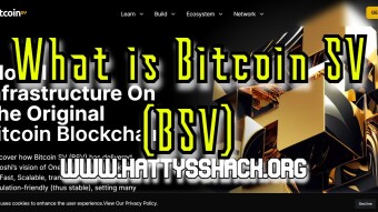 What is Bitcoin SV (BSV)