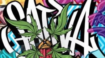 Meet one of the team behind Greetings from Sativa