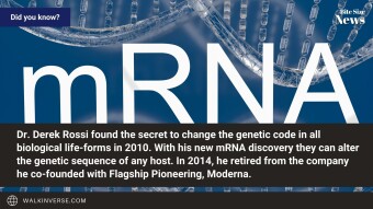 mRNA Discovered in 2010 by Accident