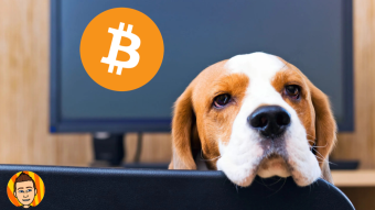 Bitcoin: The Summer of Boredom