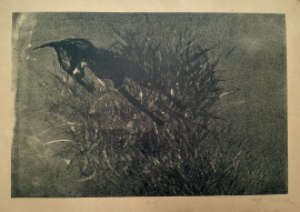 The Brown Creeper - Lithographic Artists Proof - Medical Relief Fund