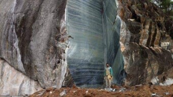 Missing evidence of high-tech organisms