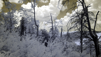 View from the Southern Appalachians - Infrared Photography