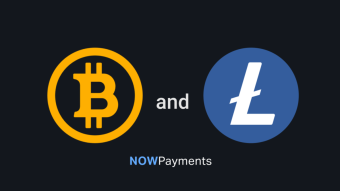 The Difference Between Bitcoin And Litecoin