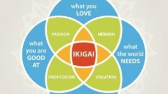 Finding Your Ikigai