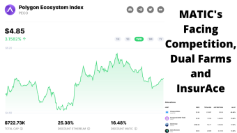 Bitgert's Low Gas Fees, Chapter 3 and Insurance