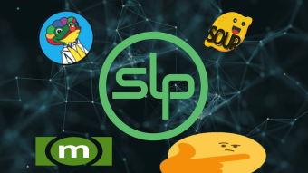 Diving Into Simple Ledger Protocol (SLP) - Bitcoin Cash's Strange Token