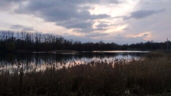 Today cloudy, cold but fortunately without rain - My Actifit Report Card: March 15 2025