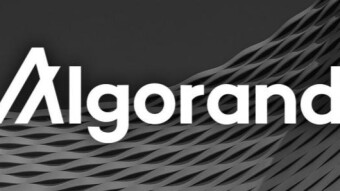 ALGORAND - BUILDING THE GAP FOR NUMEROUS ENTERPRISES USING THE BLOCKCHAIN TECHNOLOGY.