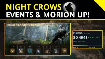 Night Crows 🌒| New Events & Morion Token UP!