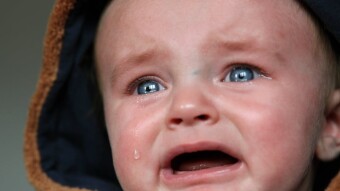 Is it an opportunity to cry? Are these the reasons for crying that you give?