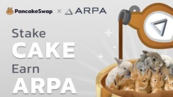 To be prepared for the next Farming Pair on Pancake Swap