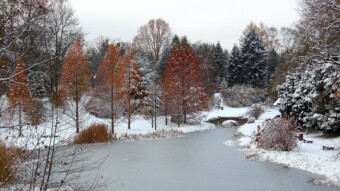 An autumn walk in winter scenery in my favorite park