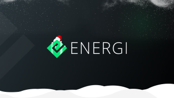A Year of Major Milestones and Growth — Energi 2020 Recap