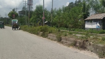 A Journey Along a Quiet Countryside Road
