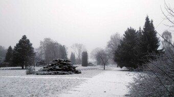 Winter weather is back - My Actifit Report Card: December 27, 2025
