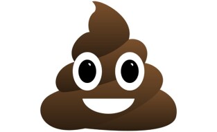 Sniffing out Shitcoins -- a Primer in Shit