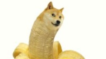 The Future Of Science Is A MEME? I'm Going Bananos...