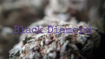 black-diamond-strain-review/