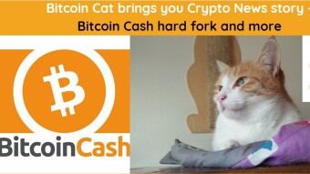 Bitcoin Cat brings you Crypto News story - Bitcoin Cash's hard fork and more