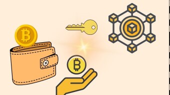 An Unfortunate Trend: Bitcoin Opportunists Gaining Fame as Crypto's Brand Ambassadors