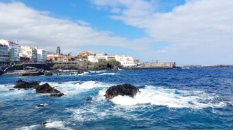 Tenerife Uncovered: Chill Day At Monkey Park