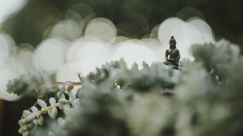 Got ZEN?
