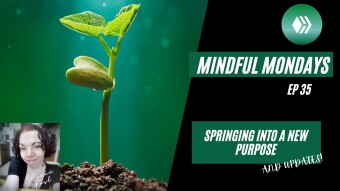 Springing Into A New Purpose | Mindful Mondays Ep 35