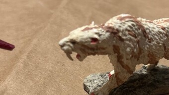 Sabertoothed Tigers!