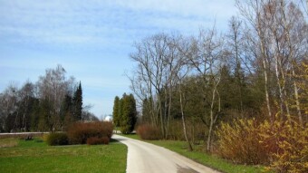 A beautiful sunny Friday and a fruitful walk - My Actifit Report Card: March 15 2024