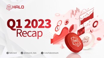 HALO Network Quarterly Report