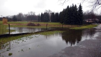 Another unpleasant day, but the walking obligation was fulfilled - My Actifit Report Card: February 5 2024