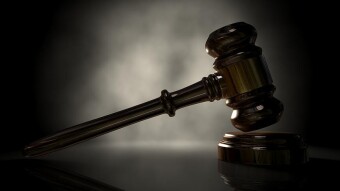 The Judge