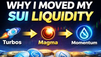 Why I Moved My SUI Liquidity (Turbos → Magma → Momentum)